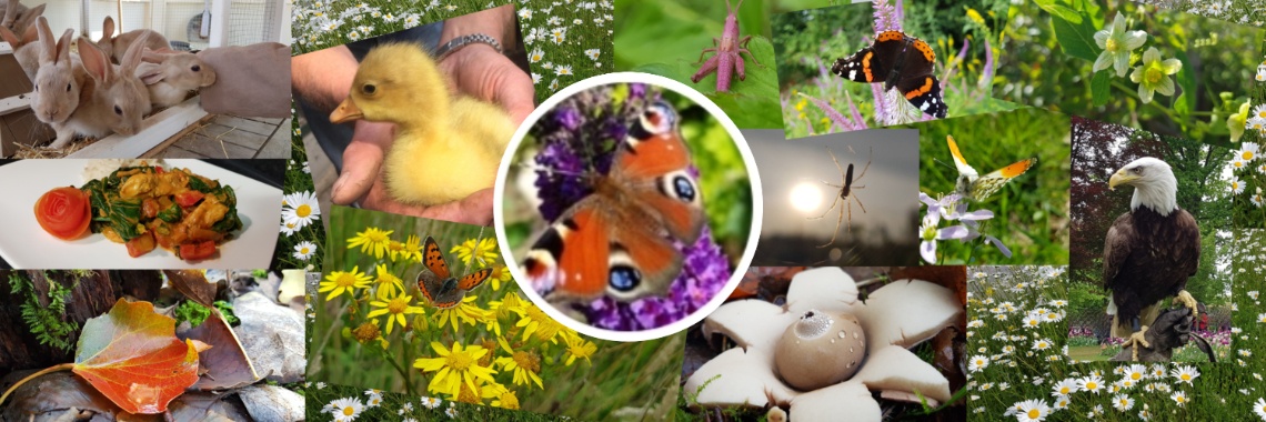 Aangenaam kennis te maken. | jolandemooij