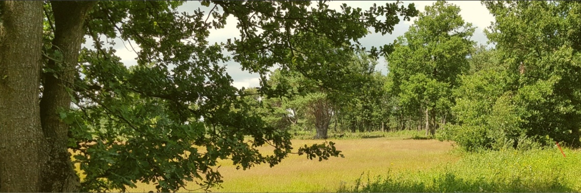Als je hoge nood hebt! | jolandemooij