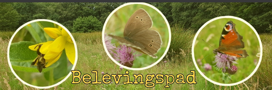 Belevingspad Hoogersmilde. | jolandemooij