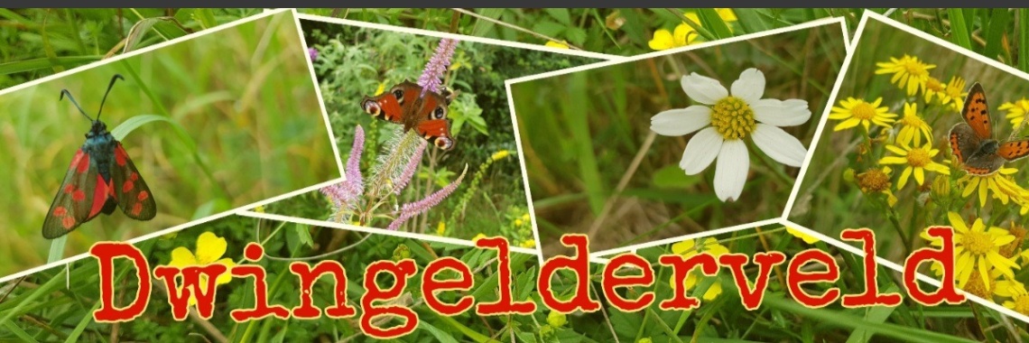 Bezoekerscentrum Dwingelderveld. | jolandemooij