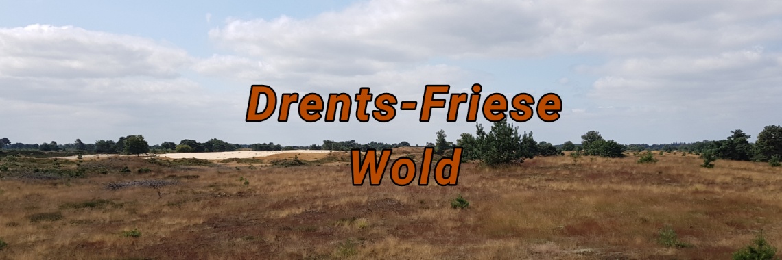 Drents-Friese Wold Outside Centre. | jolandemooij
