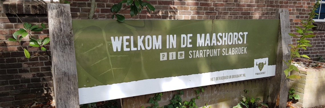 De Maashorst 2020 | jolandemooij