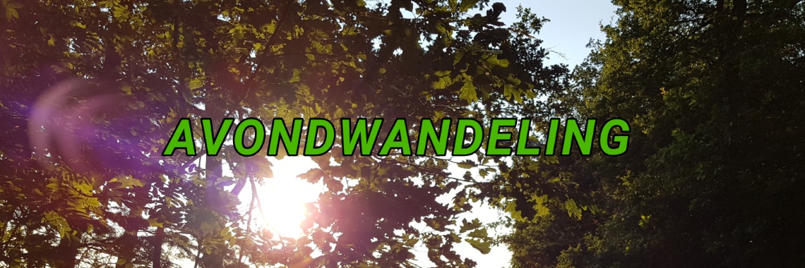 Dwingelderveld, een avondwandeling. | jolandemooij