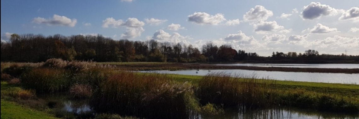 Fietstocht door de Biesbosch. | jolandemooij