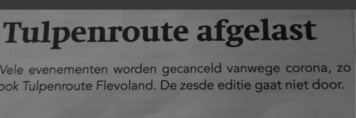 Geen tulpenroute dit jaar! | jolandemooij