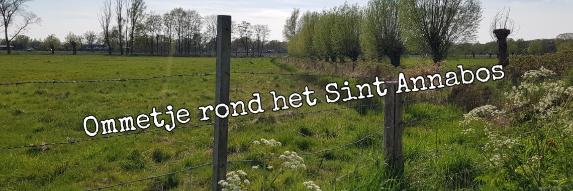 Ommetje rond het Sint Annabos. | jolandemooij