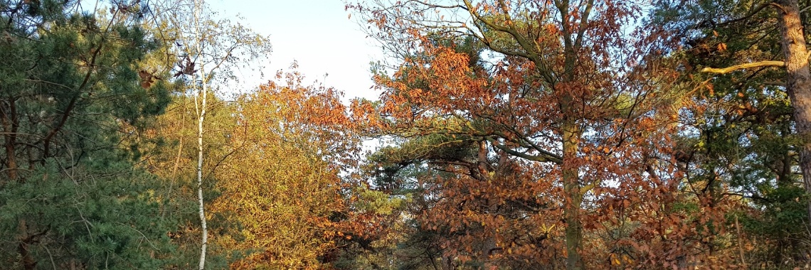 Rondje Oosterhout. | jolandemooij