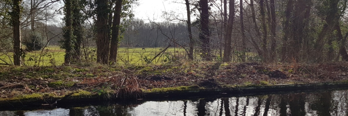 Staverden. | jolandemooij