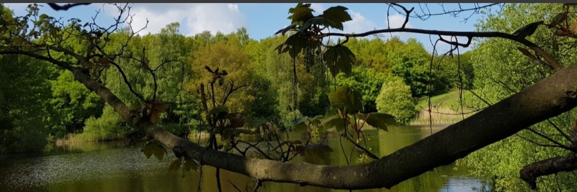 Voorjaarswandeling in het Kuinderbos. | jolandemooij