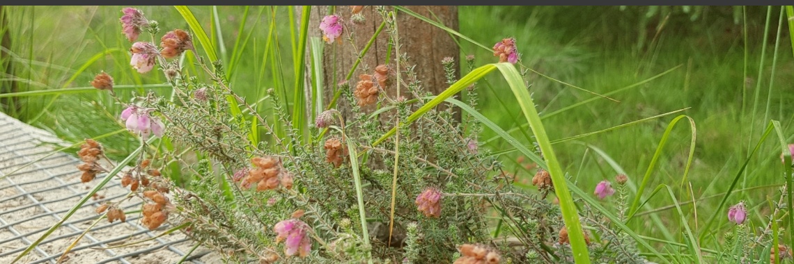 Wandeling Natuurpoort Spier. | jolandemooij