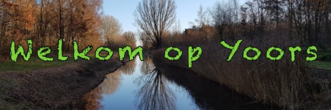 Welkom op Yoors | jolandemooij