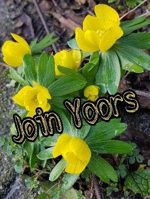 signup
