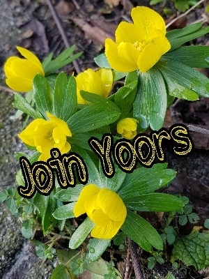 signup