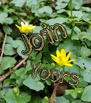 signup