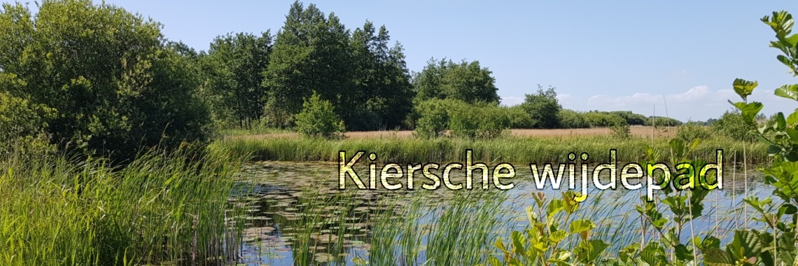 Het Kiersche Wijdepad. | jolandemooij
