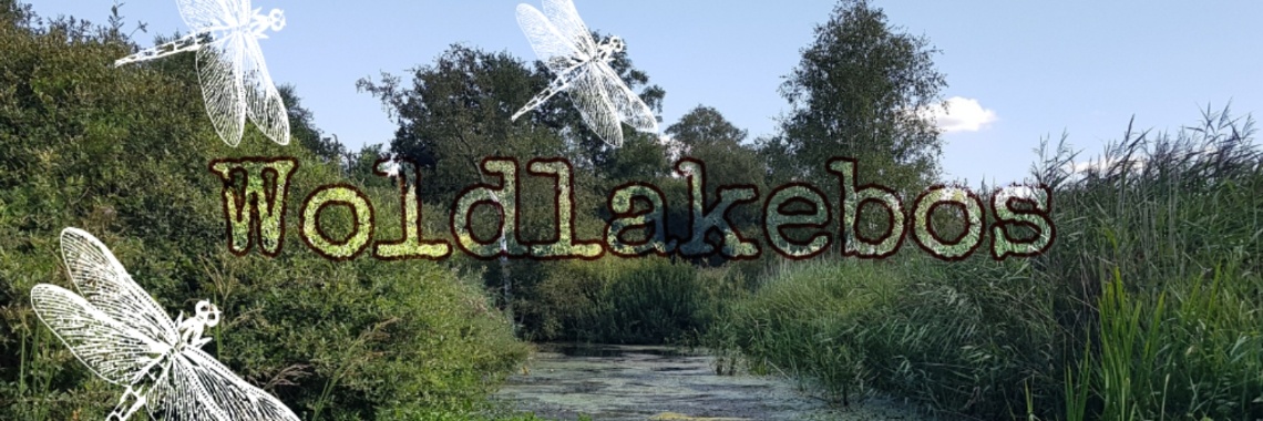 The Woldlake Forest. | jolandemooij