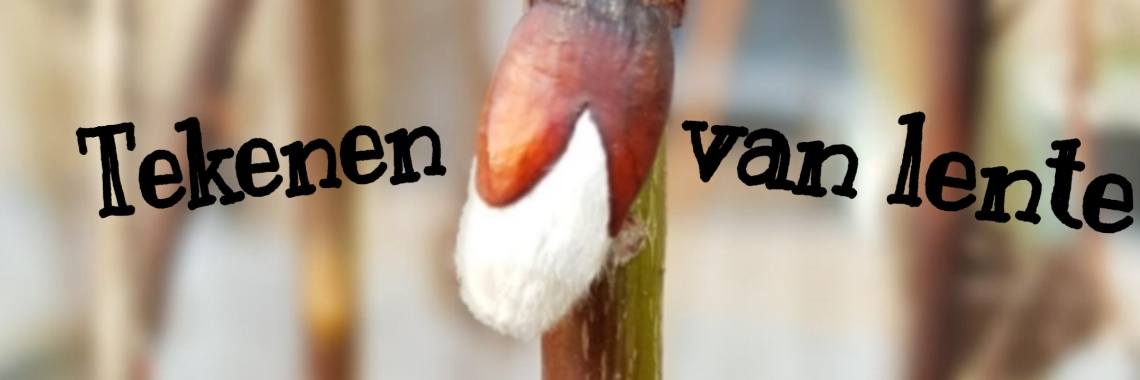 tekenen van lente. | jolandemooij