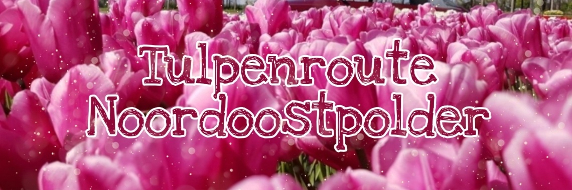 tulpenroute noordoostpolder fietsen