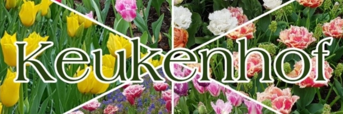 Dagje Keukenhof.