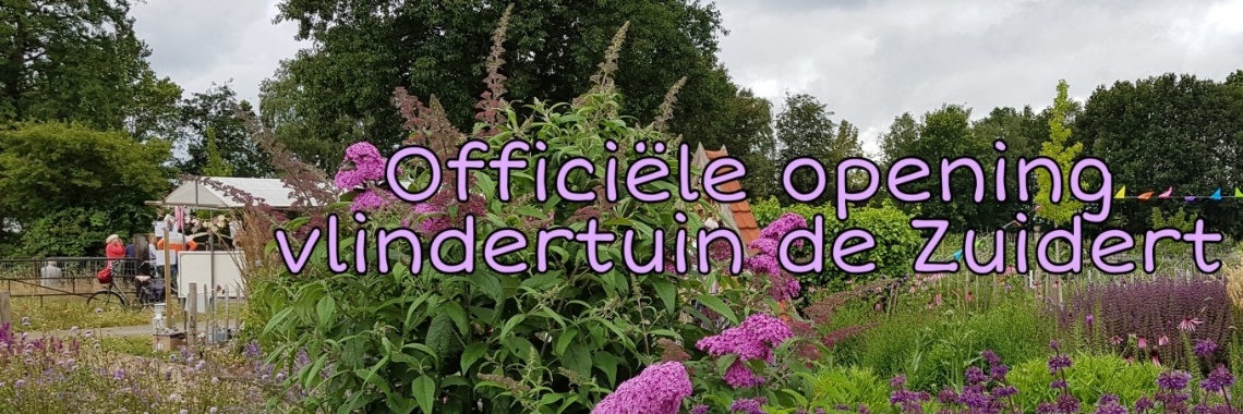 Vlindertuin de zuidert | jolandemooij
