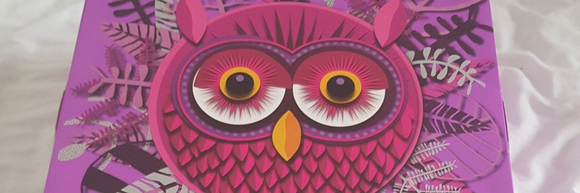 Adventskalender dag 1 | merel2barentsen