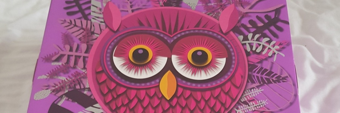 Adventskalender dag 11 | merel2barentsen