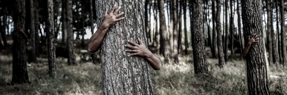 Een eindeloze reis naar ergens - Stap 100 | Guus Eftychía