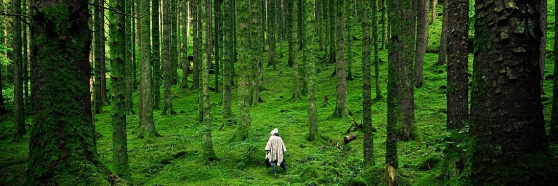 Sterrenstof | Gaia vitae