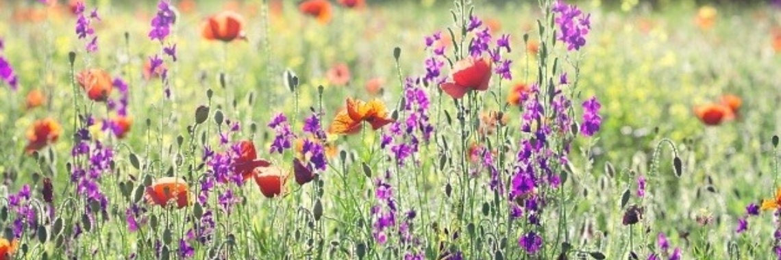 Vegan voordeel week 15 | FleursVeganVoordeel