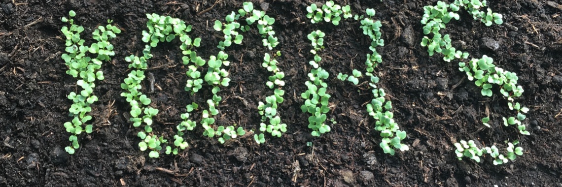 Alle moestuintips op een rij | Mona