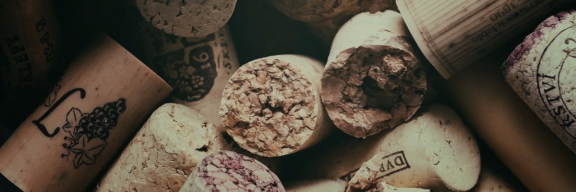 Elk jaar tomaten in de kas.... kan dat wel? | Mona