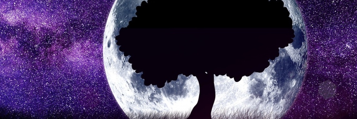 Heeft de maan invloed op de moestuin? | Mona