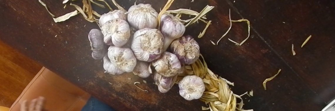 Knoflook vlechten met korte video instructie | Mona