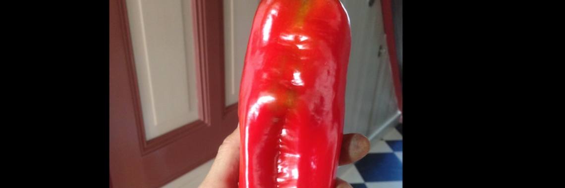 Paprika's moeilijk zelf te kweken? Met deze truc en tweede tip lukt het wel. | Mona