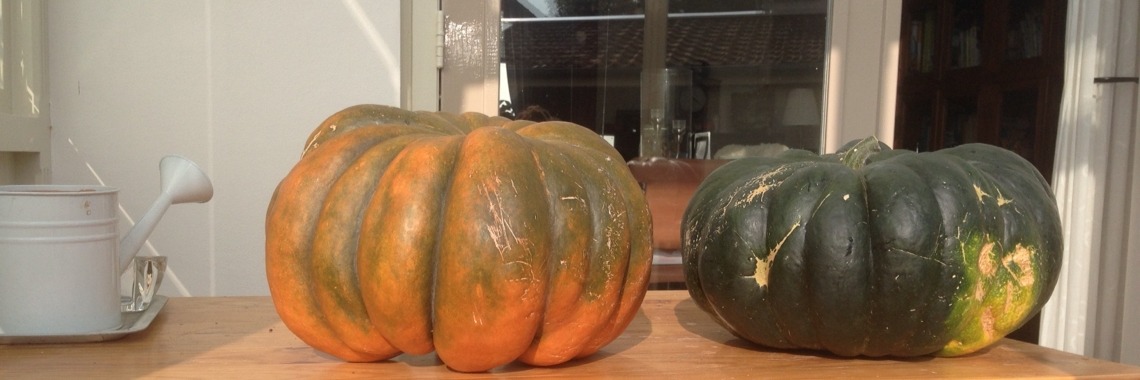 Pompoenpastei van Musquée de Provence | Mona