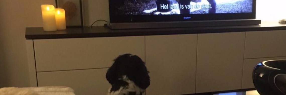 Verovering van de Noordpool | Mona