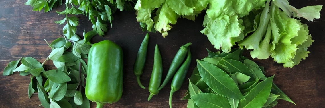 Tuinieren is niet alleen maar tuinieren | Mona