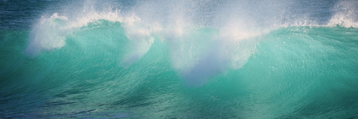 The first wave | Mona