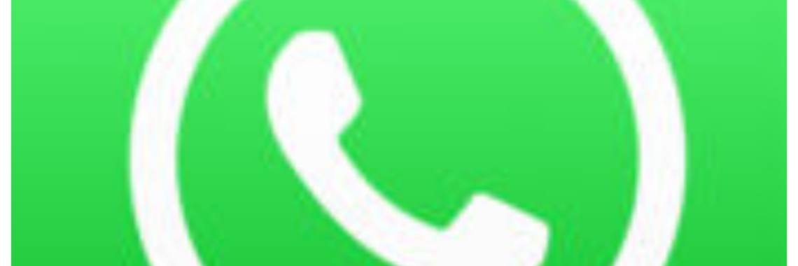 ENG: Always in the neighbourhood | wakeupkitty