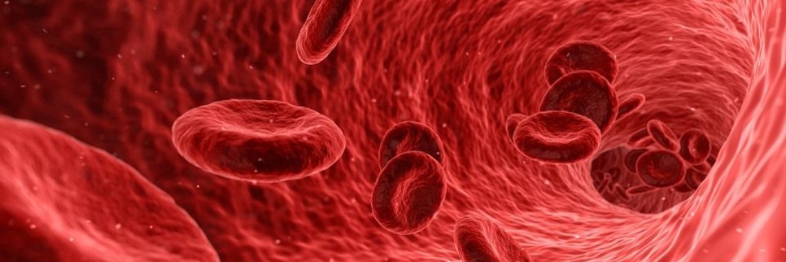 Medisch: Bloedarmoede (Anemie) | wakeupkitty