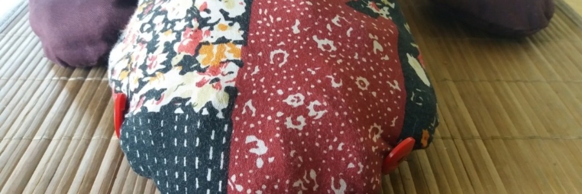 DIY: Schildpad kussen | wakeupkitty