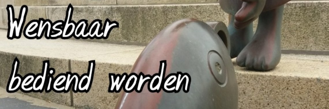 Elfje: De koning te rijk zijn | wakeupkitty