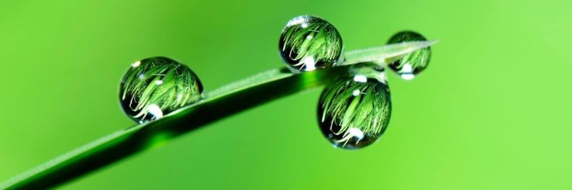 Opinion: Praxis klantenservice en  online bestellen | wakeupkitty