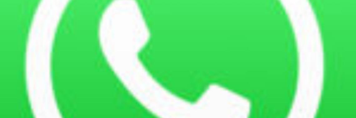 Oppassen: GROOT dierenleed/4 | wakeupkitty