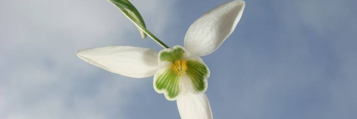 HvY: In de kijker Hans | wakeupkitty