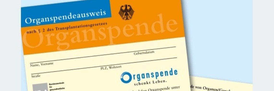 Opinion: Hoe werkt EU-donorschap (+ donorpas (pdf) in 29 talen) | wakeupkitty