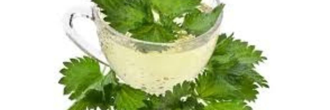 MyLife: Brandnetelsoep | wakeupkitty