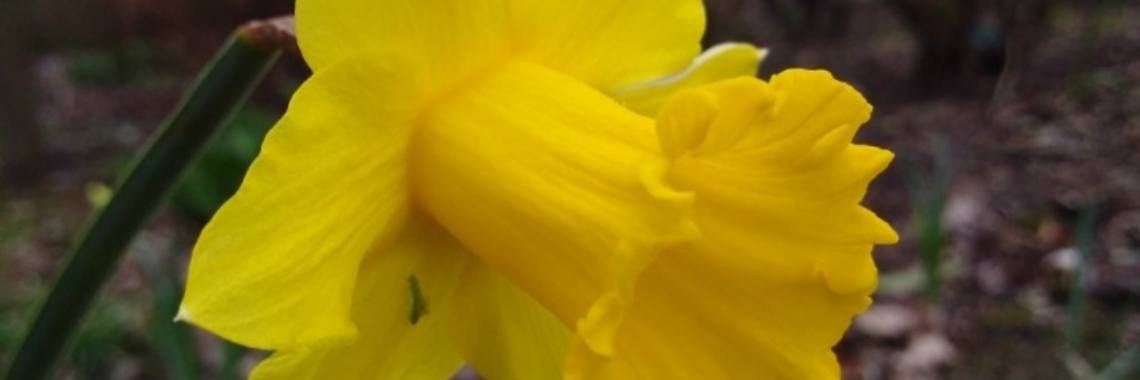 Samen: De  narcist (vechtgenoot) | wakeupkitty