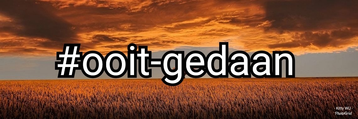 MyLife: Genoeg gedaan | wakeupkitty