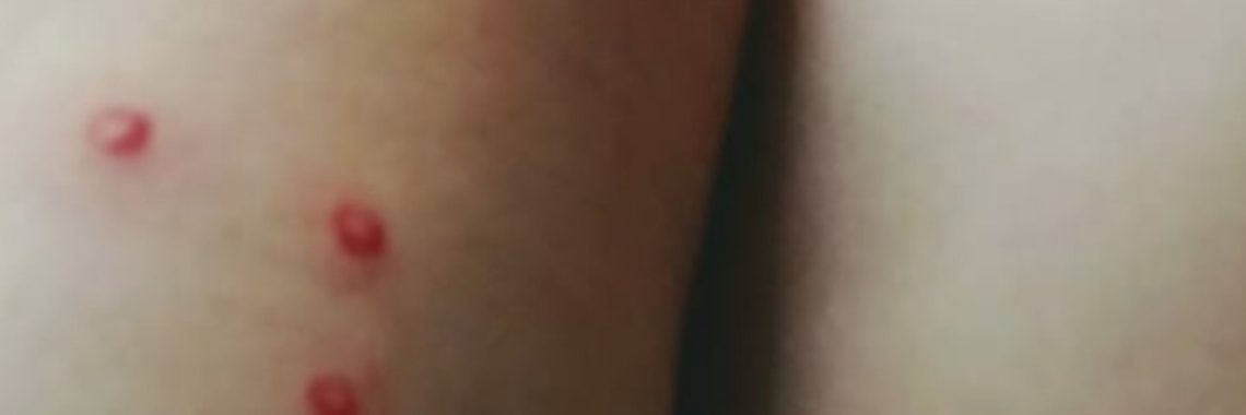 MyLife: Lieflijk gezang... | wakeupkitty